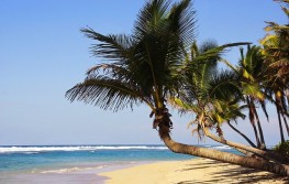 Dominikanska Republika Beach Stay - 9 dana